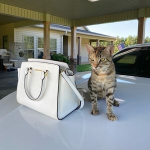 Micheal Kors purse